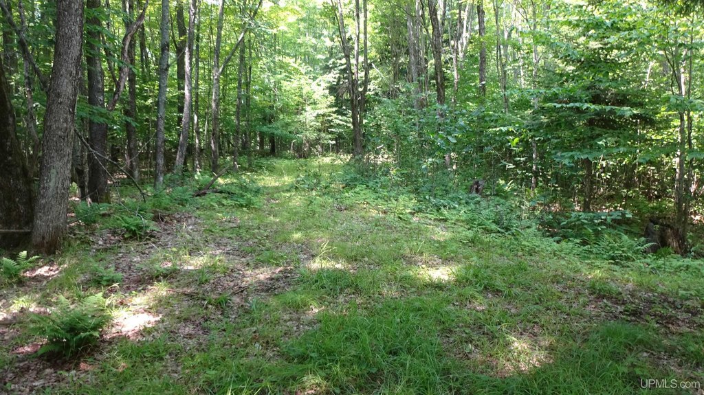 Picture 5