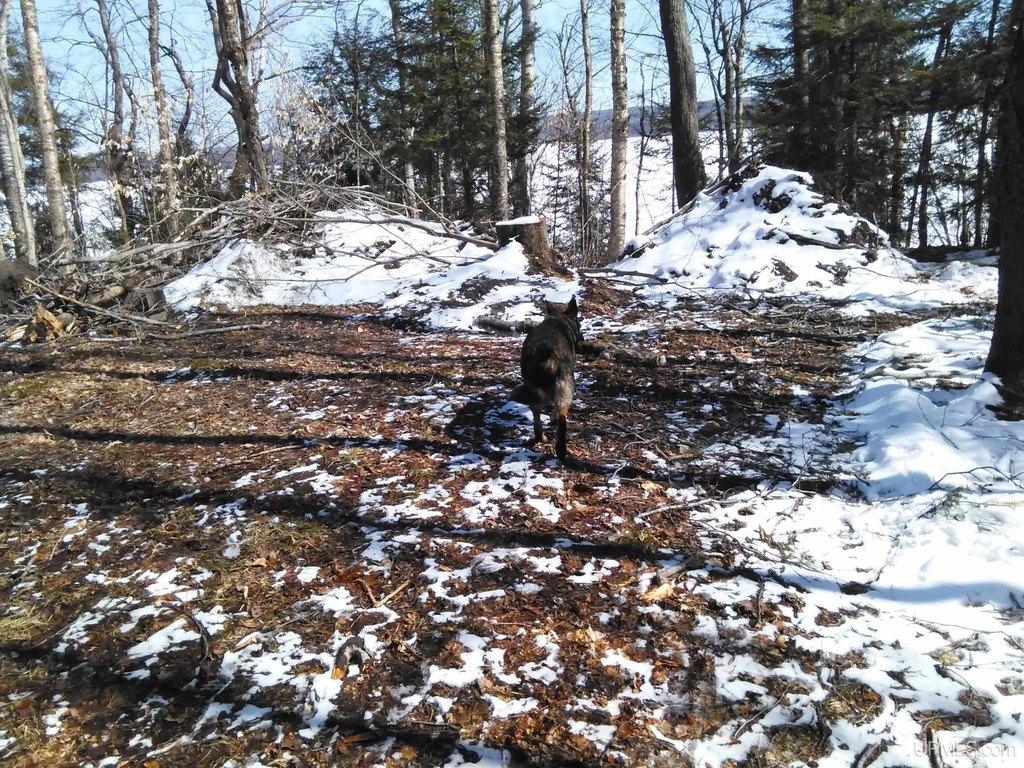 Picture 3