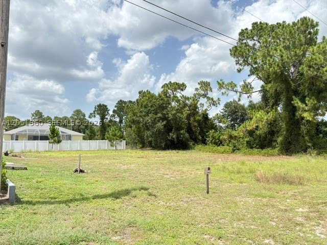 Picture 2
