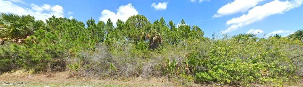 Picture 5