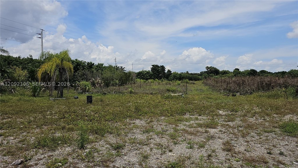 Picture 6