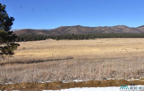 Land with Mountain Views