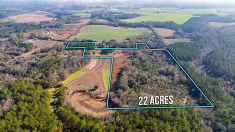 22 Acres in Andalusia, AL