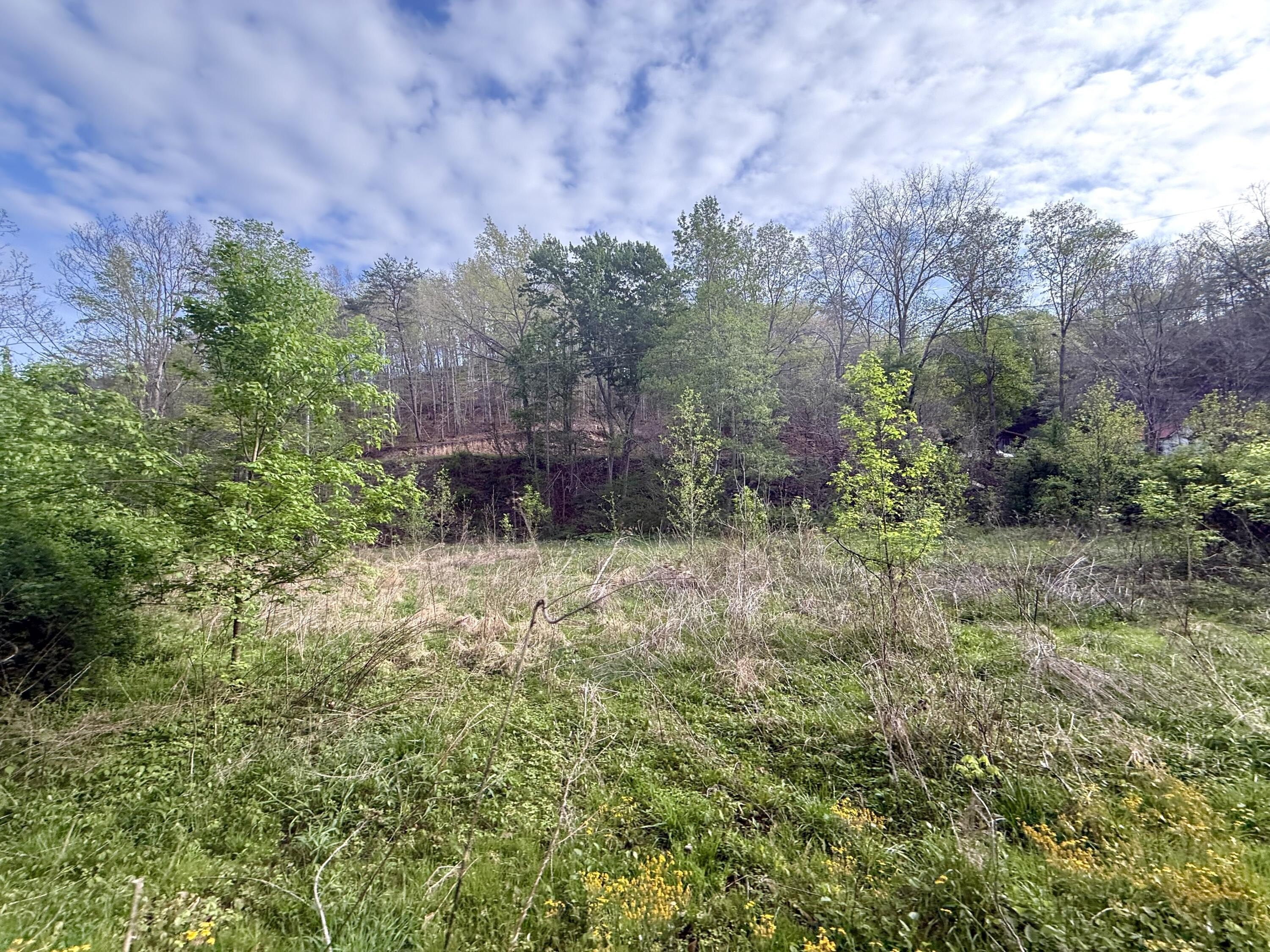 Irvine, KY Land Opportunity
