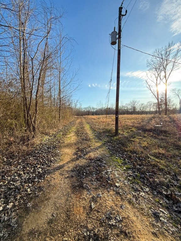 Picture 7