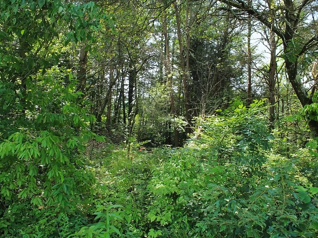 Picture 9
