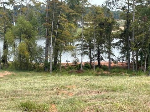 Waterfront Residential Lake Lot