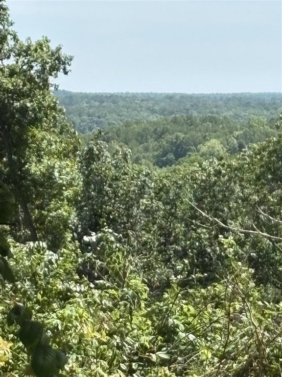 Picture 24