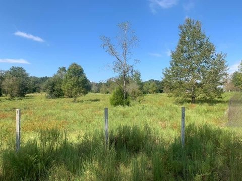 5 Acres Horse-Ready Land