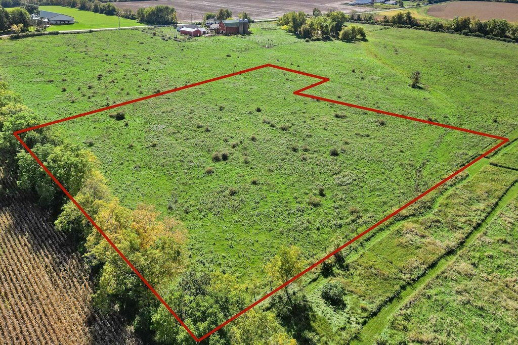 Picture 11