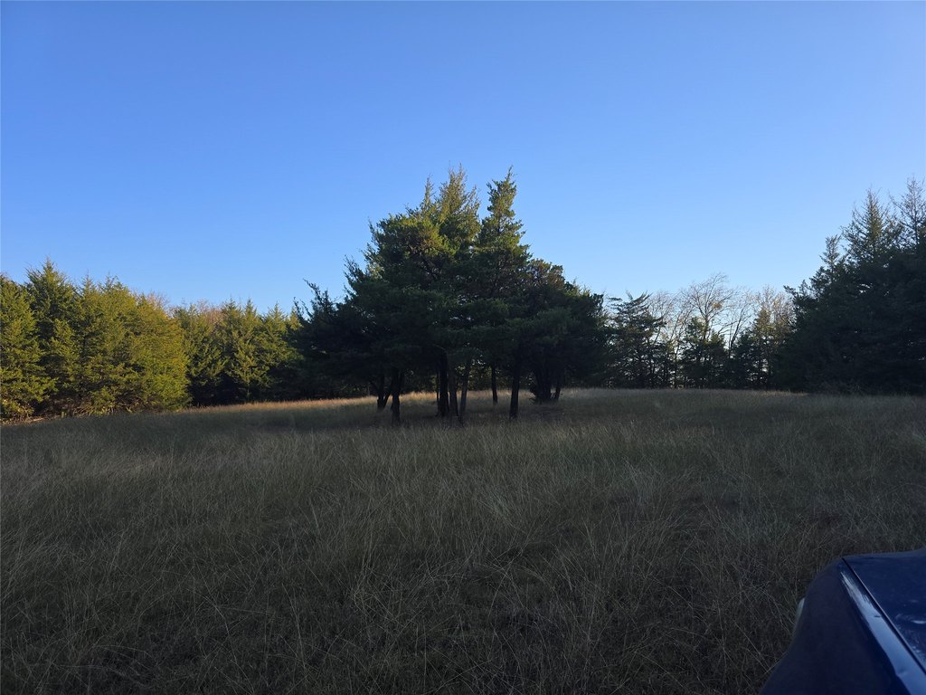Picture 13