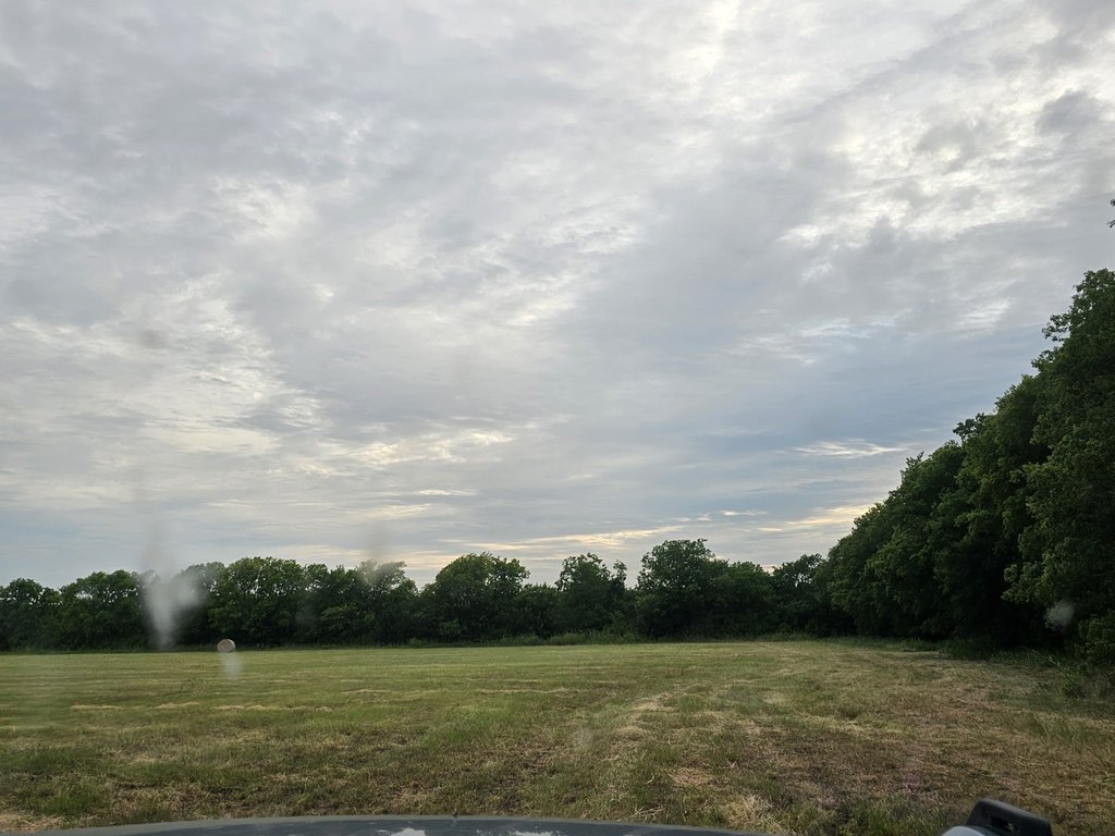 Picture 20