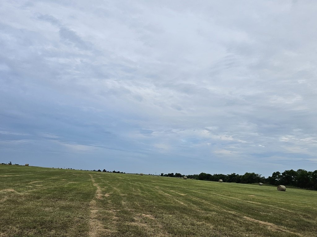 Picture 17