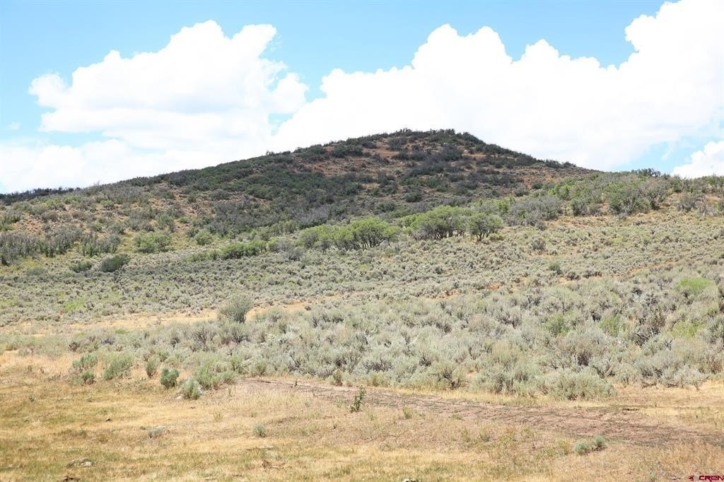 Picture 23