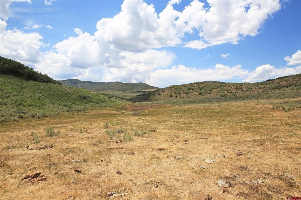 Picture 26