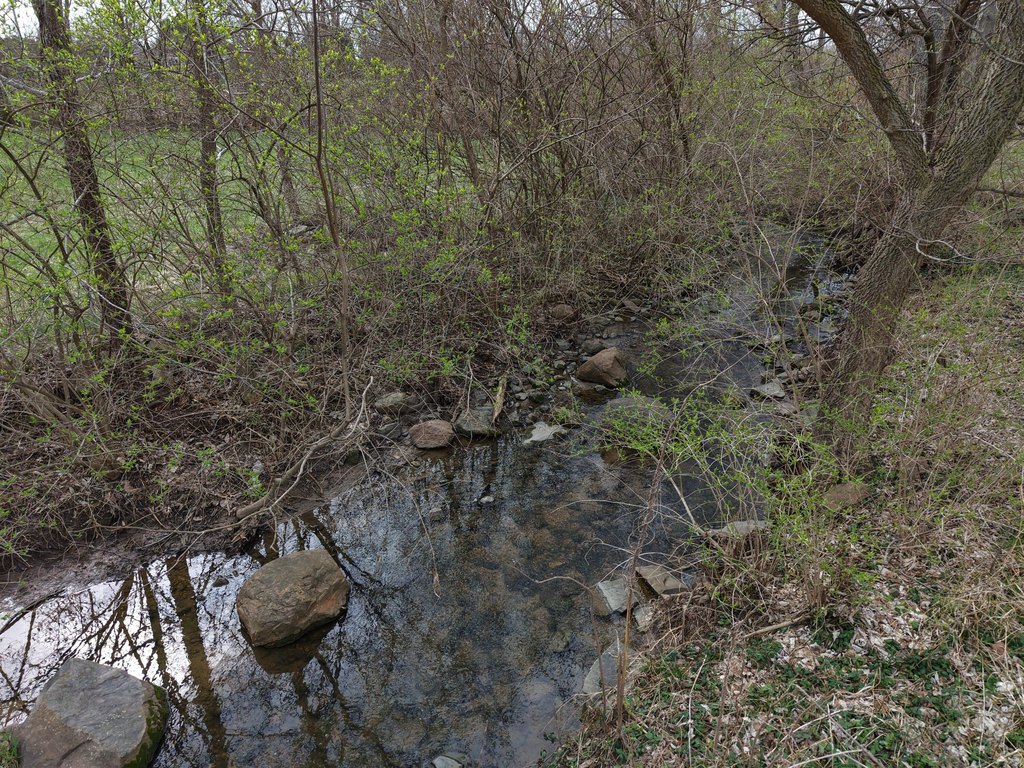 Picture 7