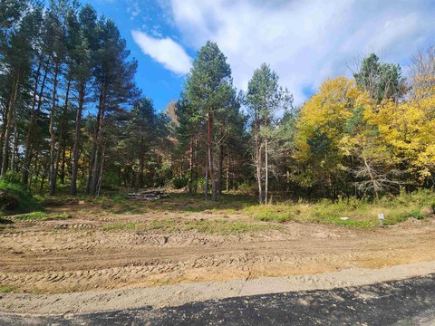 One Acre Wooded Lot
