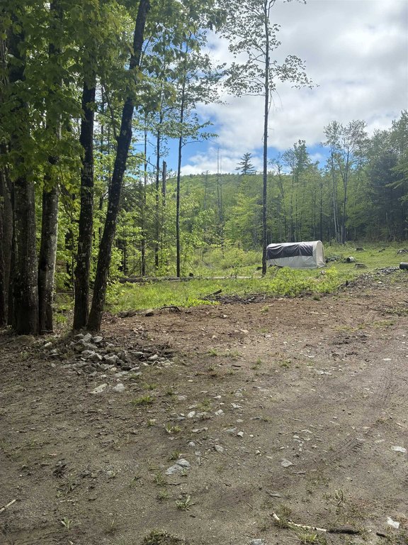 Picture 22