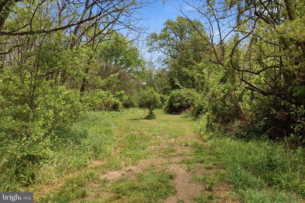 Picture 16