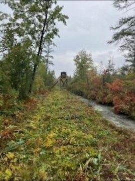 Prime Hunting Land in Fremont
