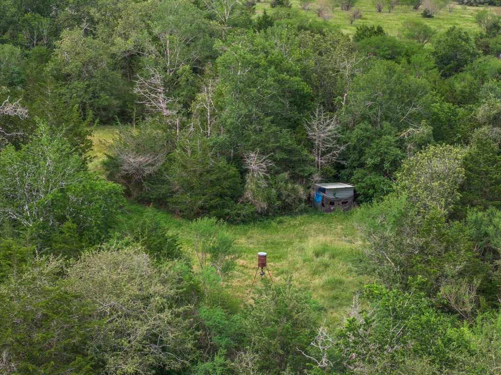 Picture 31