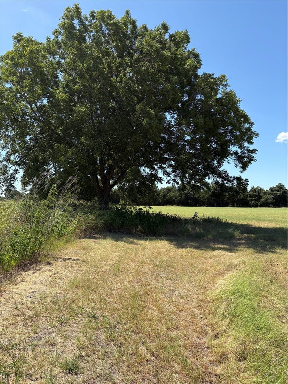 Picture 9