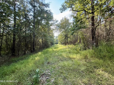 Amite County Land with Home