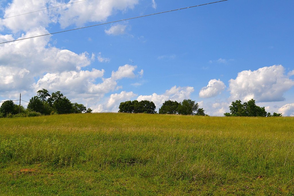 Picture 27