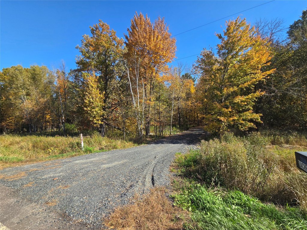 Picture 25