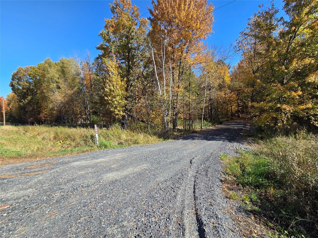 Picture 21