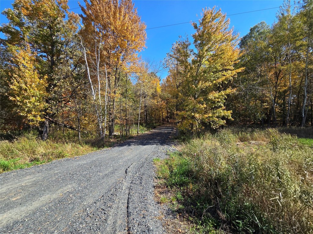 Picture 20