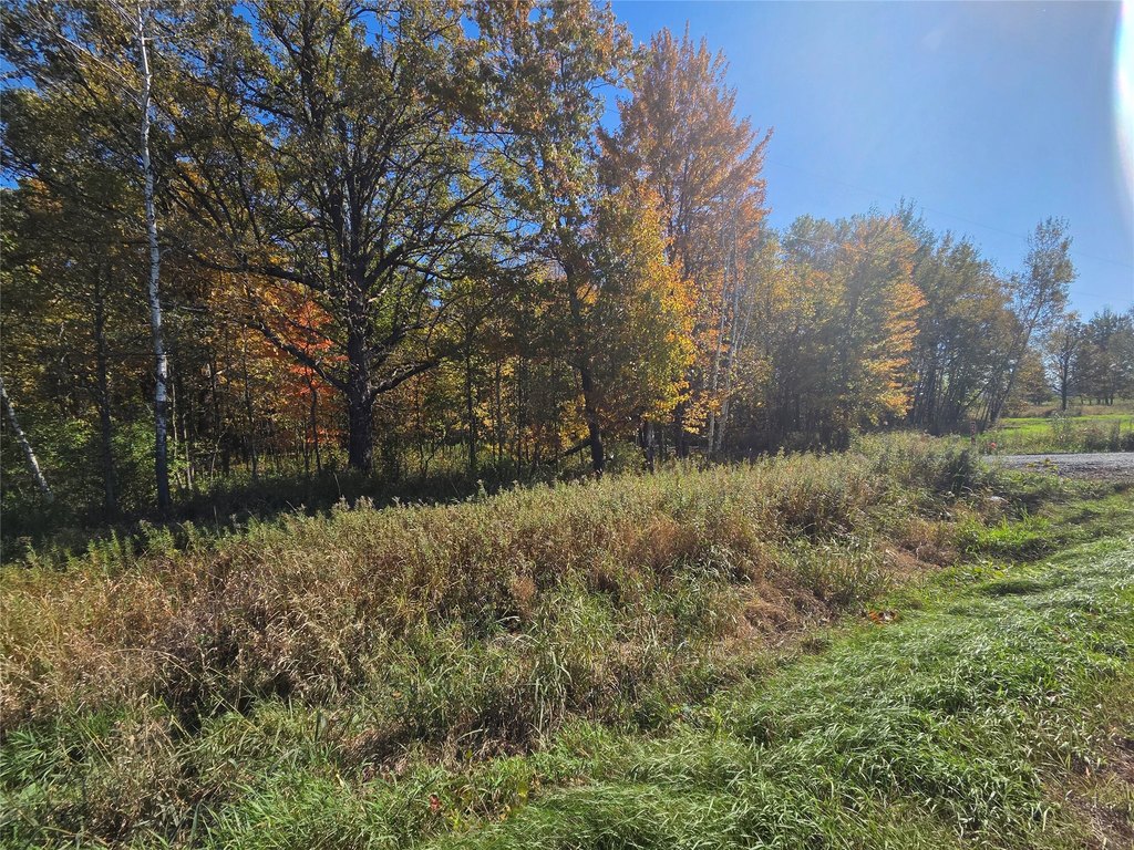Picture 27
