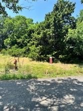 Unimproved Land in Princeton, TX