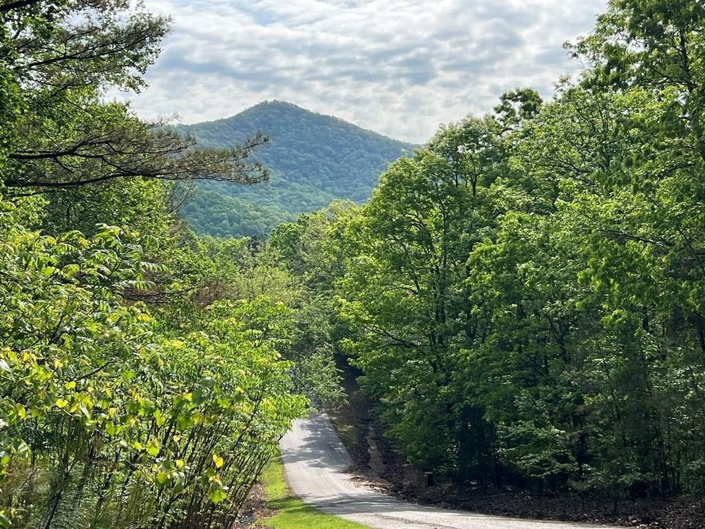Wooded Lot in Loftis Mountain