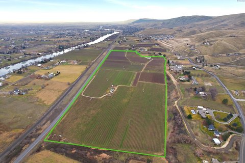 80-Acre Orchard with Development Potential