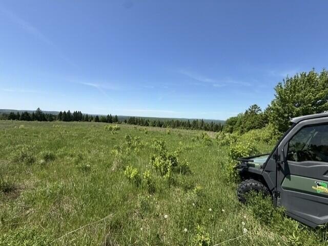Picture 19