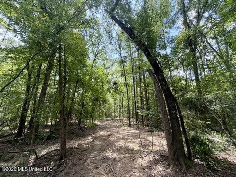 LAND - Bogue Chitto, MS