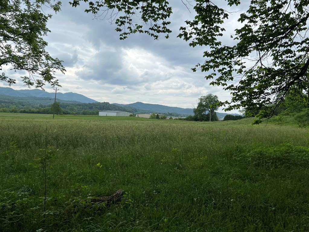 Picture 20