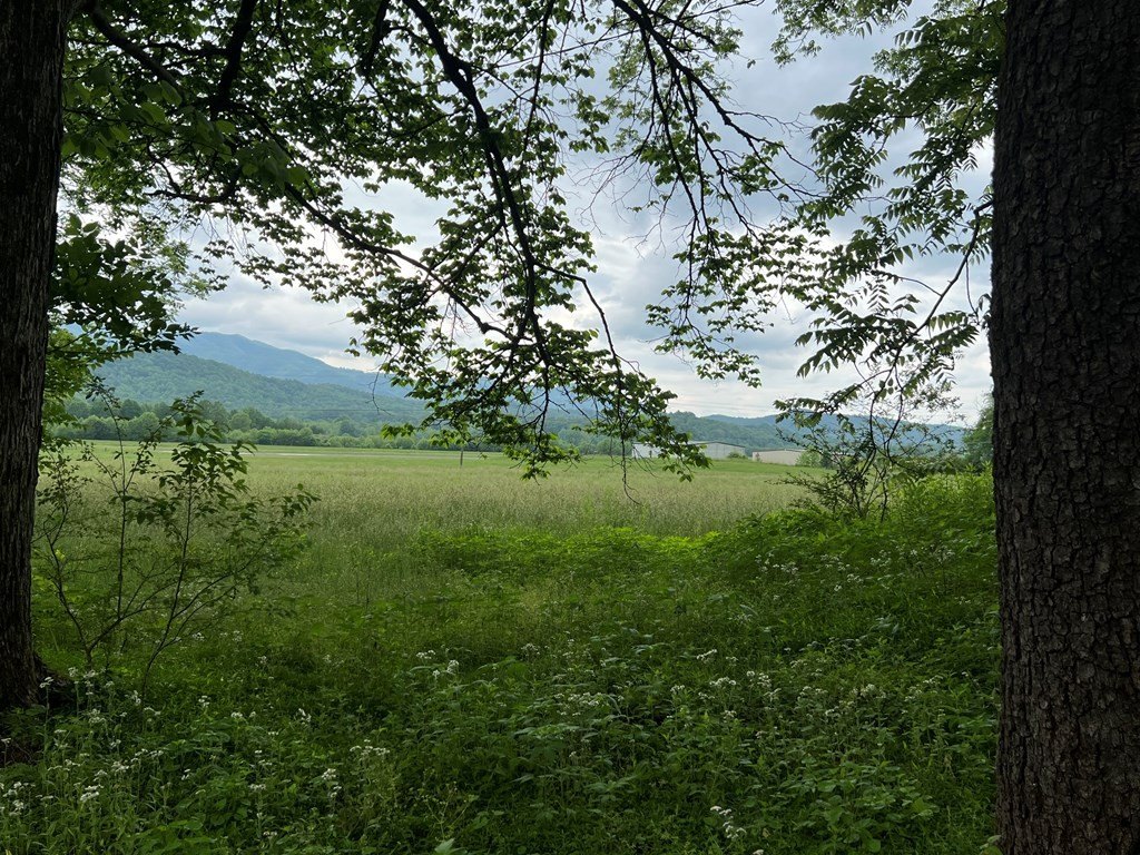 Picture 18