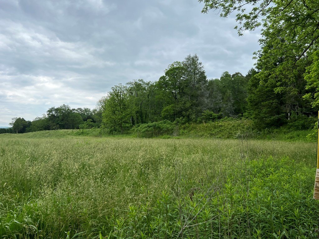 Picture 21