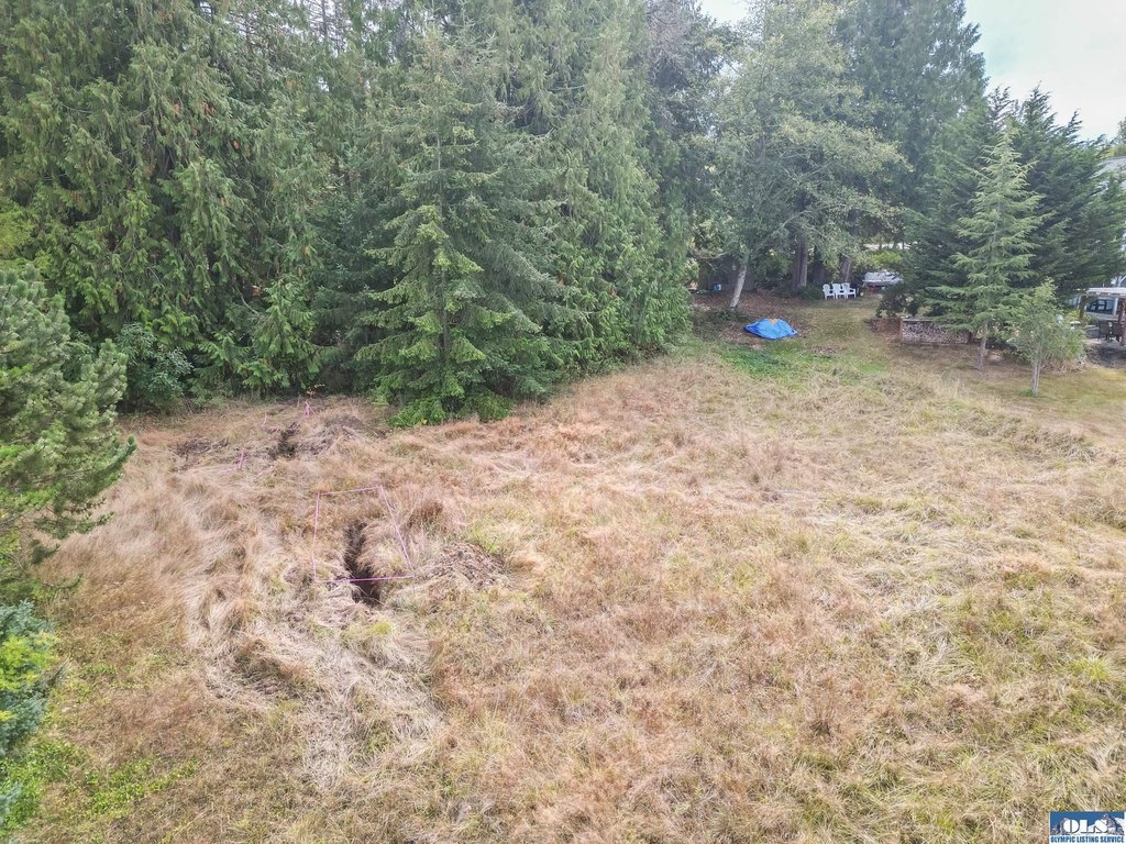 Picture 25