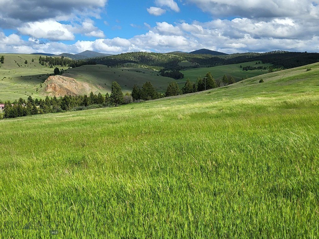 Hall, MT: 20-Acre Land Parcel