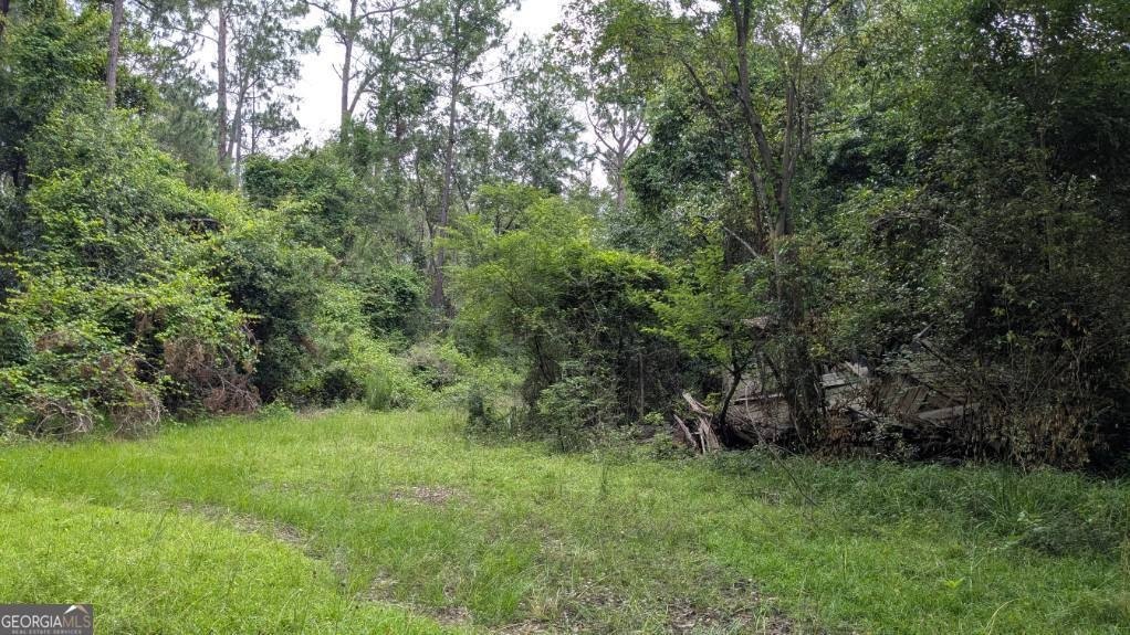 Land in Sparks, Georgia