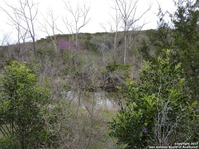 Scenic Loop Land for Sale