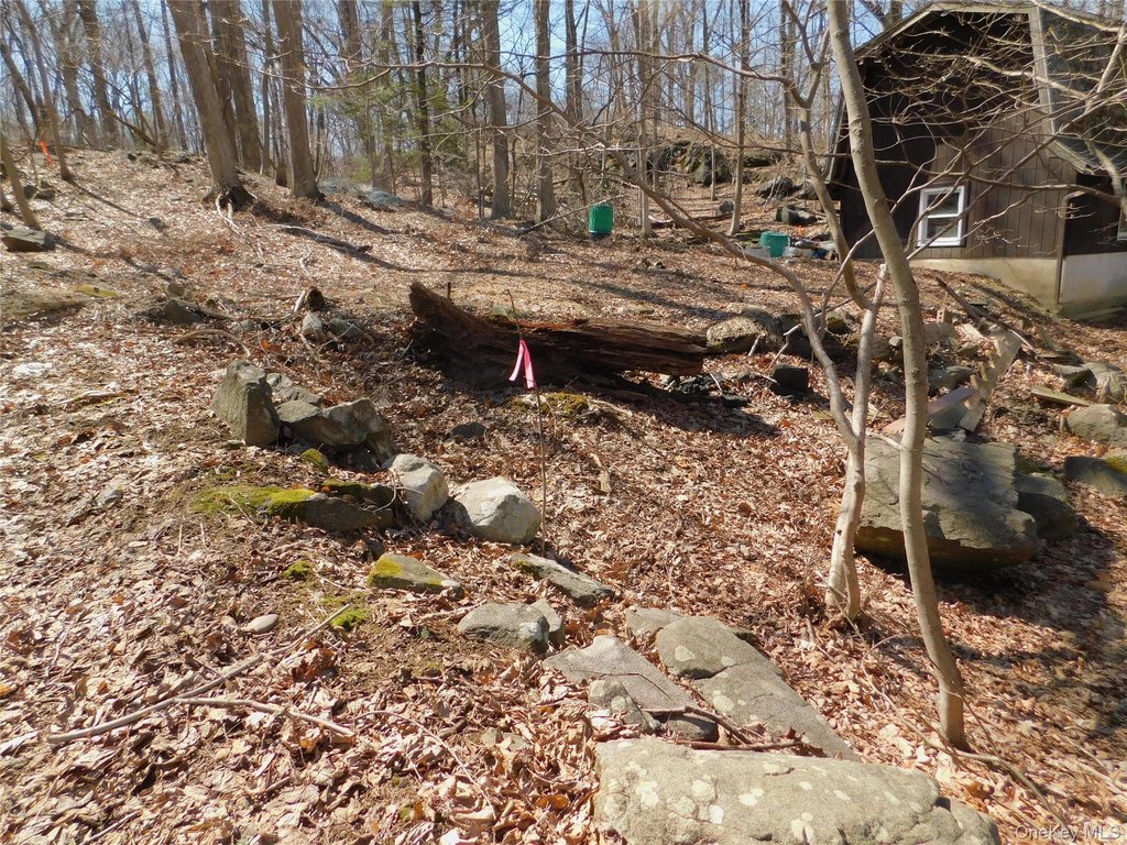 Picture 2