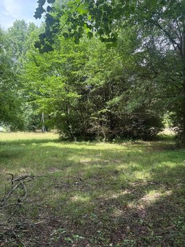 Recreation Land Acreage