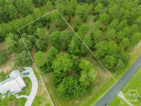LAND - Townsend, GA