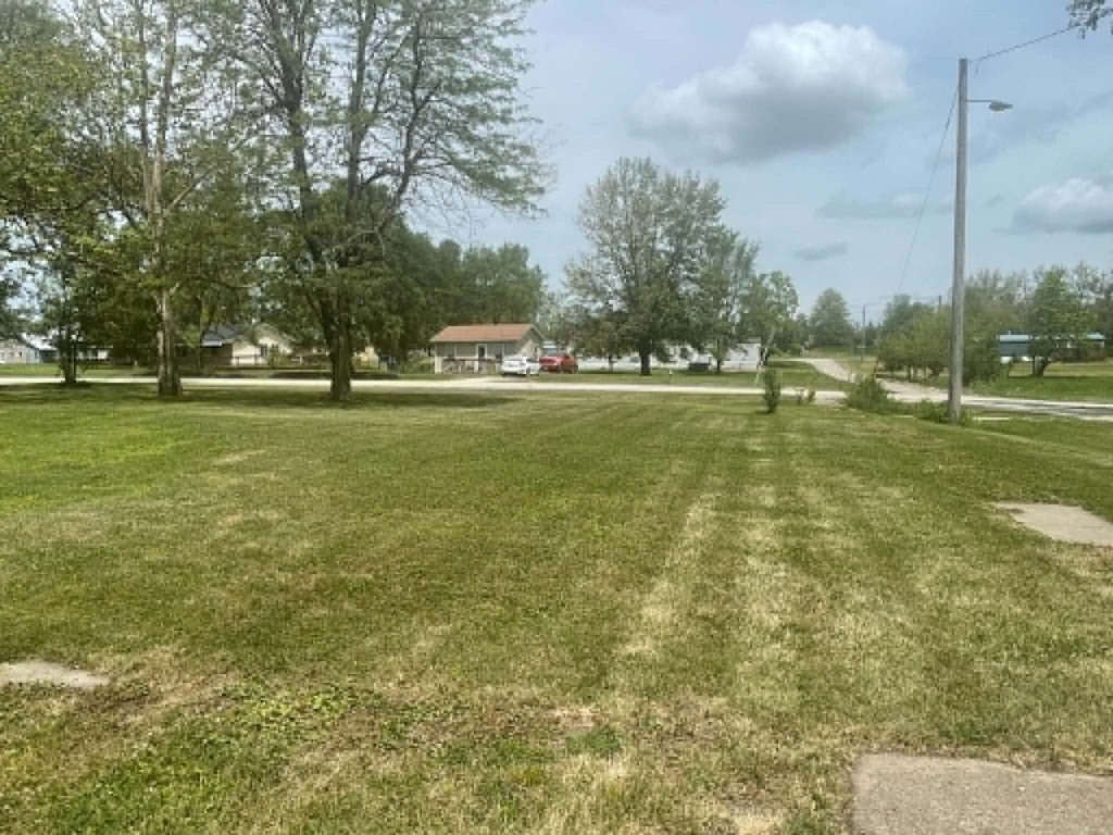 Picture 19
