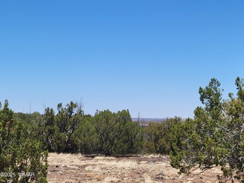 Land, Show Low, AZ