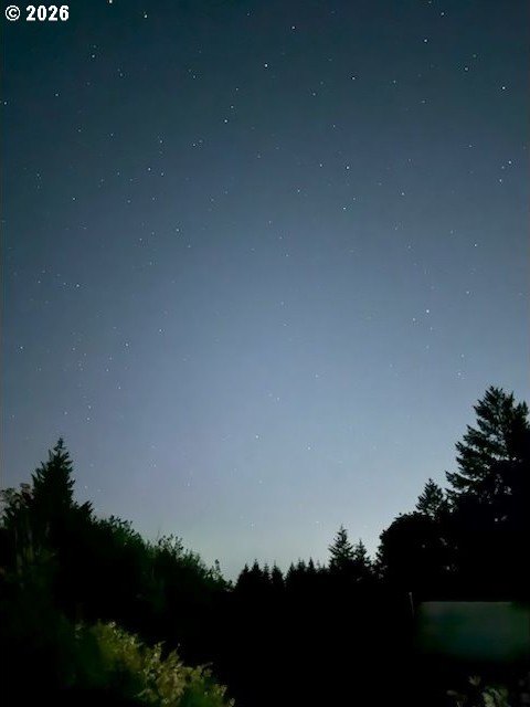 Picture 42